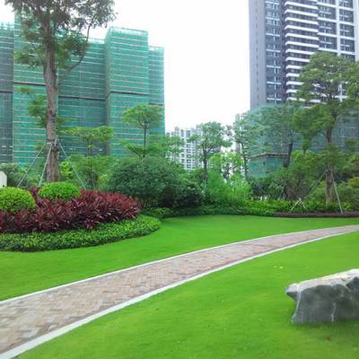 中山地產(chǎn)綠化園林施工價格解析 佛嶺景觀的專業(yè)視角